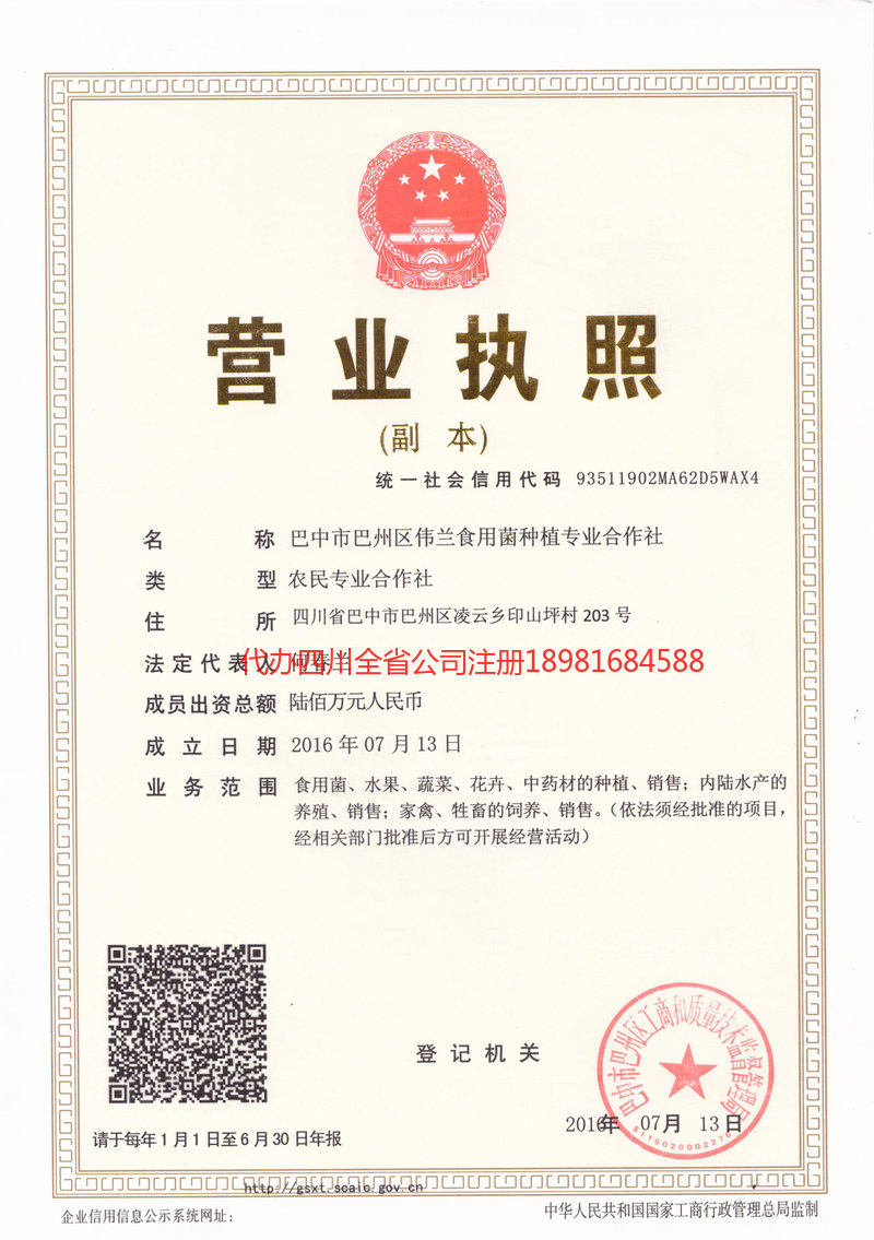 邹城邹城伟兰食用菌种植专业合作社